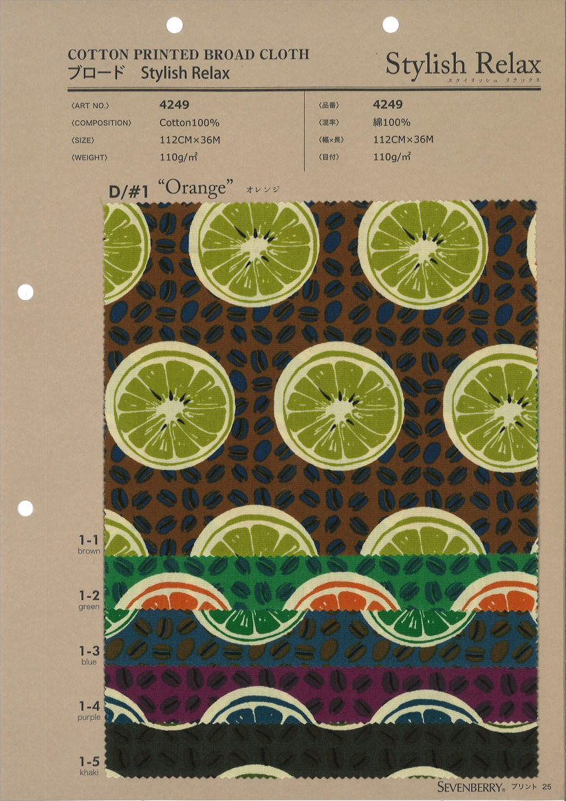 4249　ブロード　Ｓｔｙｌｉｓｈ　Ｒｅｌａｘ　Ｏｒａｎｇｅ