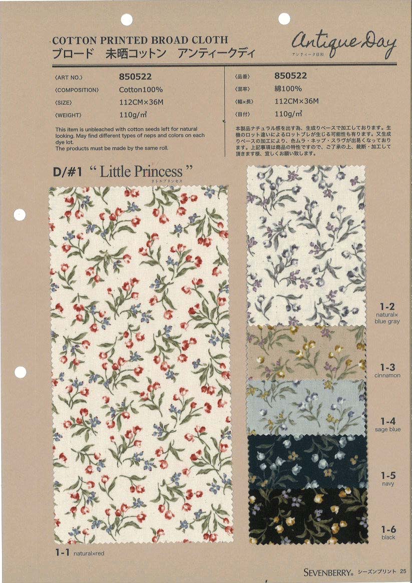 850522　ブロード　未晒コットン　Ａｎｔｉｑｕｅ　Ｄａｙ　Ｌｉｔｔｌｅ