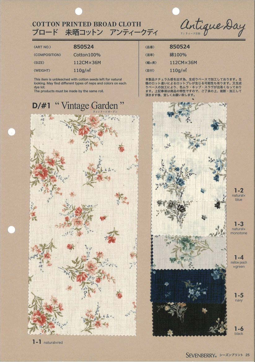 850524　ブロード　未晒コットン　Ａｎｔｉｑｕｅ　Ｄａｙ　Ｖｉｎｔａｇ