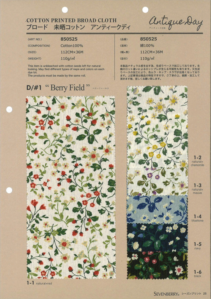 850525　ブロード　未晒コットン　Ａｎｔｉｑｕｅ　Ｄａｙ　Ｂｅｒｒｙ