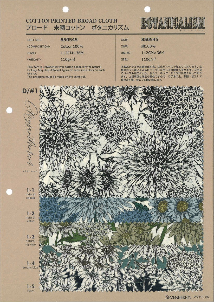 850545　ブロード　未晒コットン　ボタニカリズム　クリサンセマム