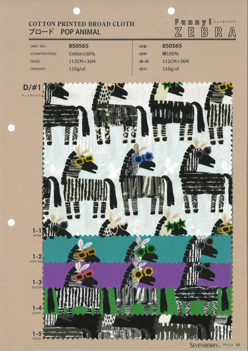 850565　ブロード　ファニーＺＥＢＲＡ