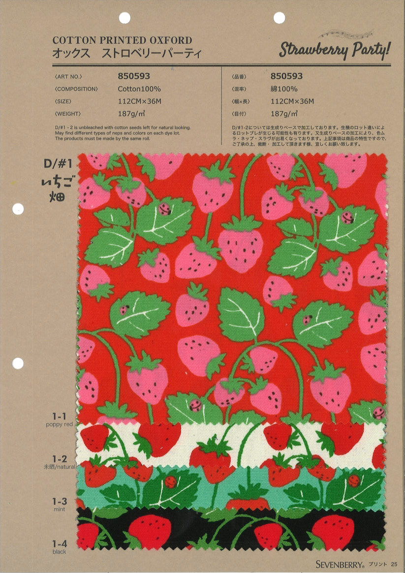 850593　オックス　ストロベリーパーティ　いちご畑